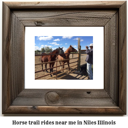 horse trail rides near me in Niles, Illinois